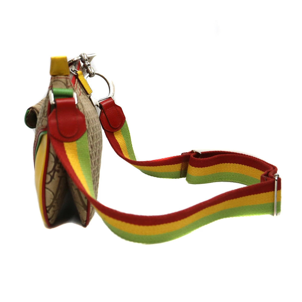 Dior Rasta Christian  Shoulder Saddle Bag